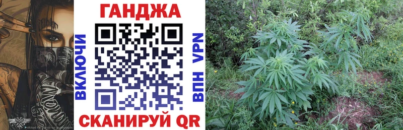 omg рабочий сайт  Яранск  Марихуана SATIVA & INDICA 
